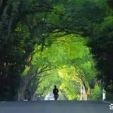 韩东头像