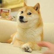 JW888的个人资料头像