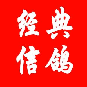 经典信鸽头像