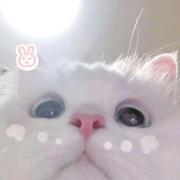 imyuanli的个人资料头像