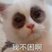 伽蓝漠泊的个人资料头像
