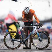 AZbik的个人资料头像