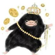 COKD的个人资料头像