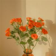 周妮妮丶的个人资料头像