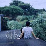 勇往直前的百灵鸟Q头像