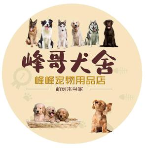 宁波市海曙区峰哥犬舍头像