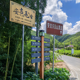 安吉毛舍民宿头像