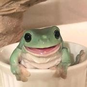 野生三无鱼的个人资料头像