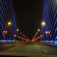 番茄206349471331005头像