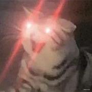 user_027的个人资料头像