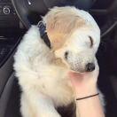 MrGao本尊的个人资料头像