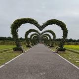 林克大魔王父王头像