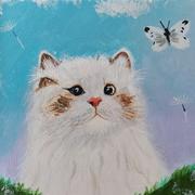 赶鹭的个人资料头像