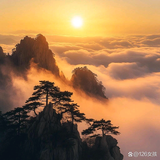 美画世界头像