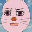 CH顏的个人资料头像