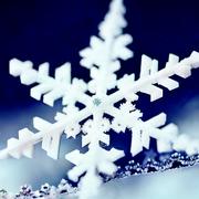 Aryawei的个人资料头像