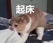 小豆豆zz的个人资料头像