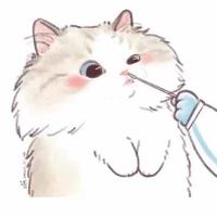 王仔大礼包781头像