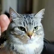 amagi600的个人资料头像