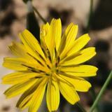 毛毛细雨61153990头像