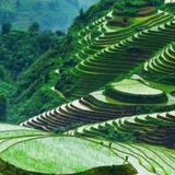 山谷的时光头像