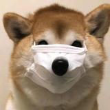 贾思恩头像