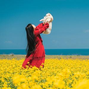 采采卷耳踏遍繁花似锦头像