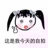 喵喵头像