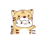 王小金Ryan的个人资料头像