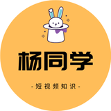 小杨网创项目博主头像