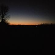 大lan虫的个人资料头像