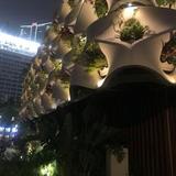 肥富鸟头像
