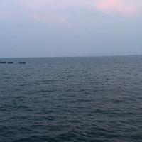 用户5479765957449头像