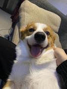 Fizz的个人资料头像