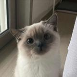 小阳4496头像