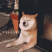 南晨的个人资料头像