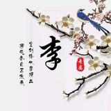 forever为你锁心157头像