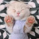 june酱71344的个人资料头像