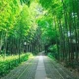 一切尽在不言中2619头像