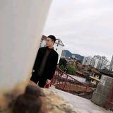 杨杨杨大大头像