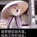谁敢说我不温柔头像