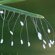 xiuge555的个人资料头像