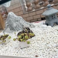 拾光156头像