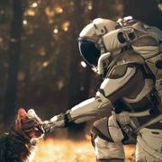 D大雄D的个人资料头像