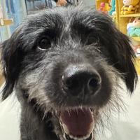 用户8112957705303头像