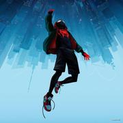 大力程同学的个人资料头像