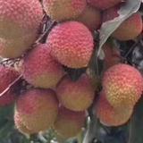 勇闯天涯9740头像