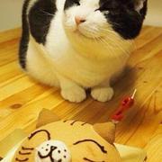 超人921的个人资料头像