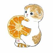 Moon的个人资料头像