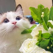 eMark的个人资料头像